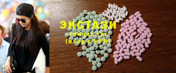 ECSTASY Богданович